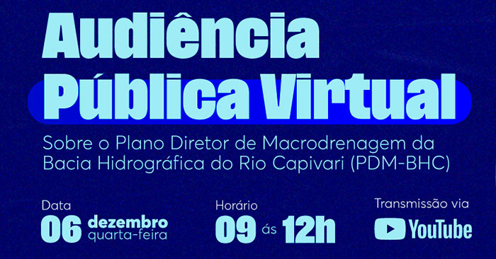 Audiência pública virtual
