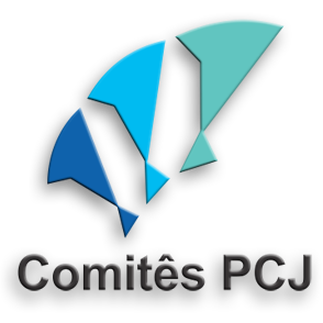 PCJ Logo Sombreado